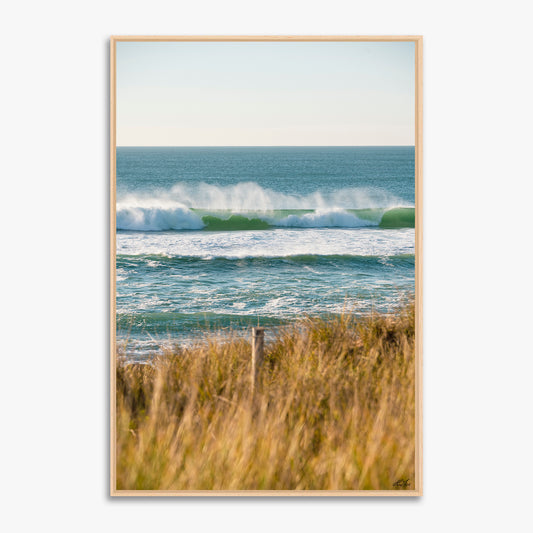 Côte Sauvage Quiberon - 0481