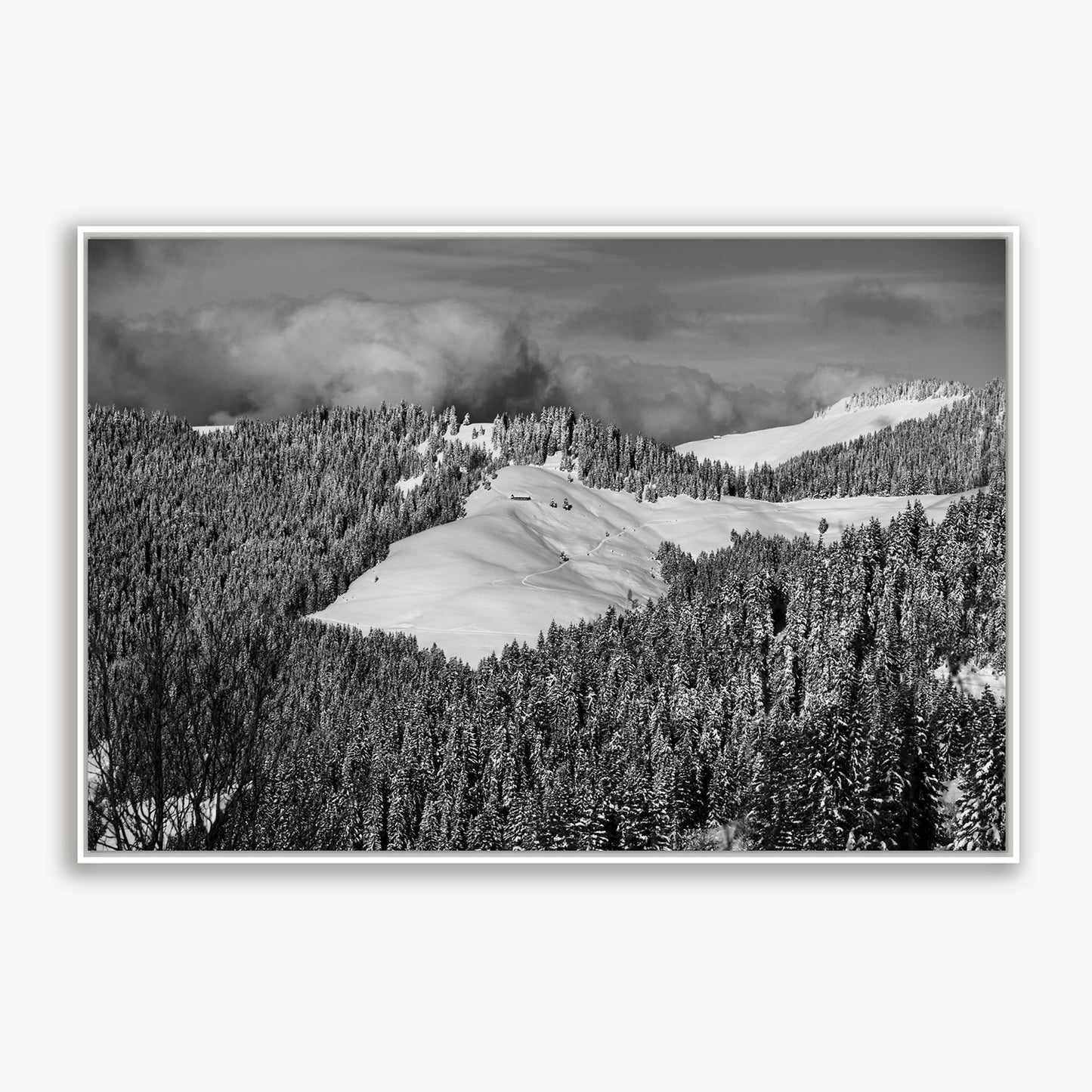 Montagne - 0911 - Fine ART