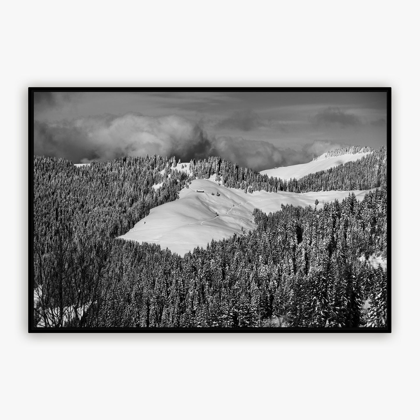 Montagne - 0911 - Fine ART